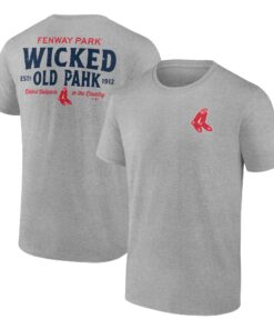 Men's Boston Red Sox  Branded Heather Gray Hometown Collection Old Fenway T-Shirt