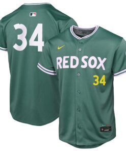 Youth Boston Red Sox David Ortiz Nike Green 2025 City Connect Limited Retired Player Jersey